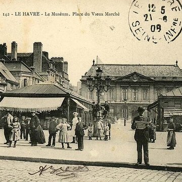 Muséum dhistoire naturelle du Havre