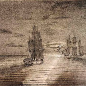 Muséum dhistoire naturelle du Havre