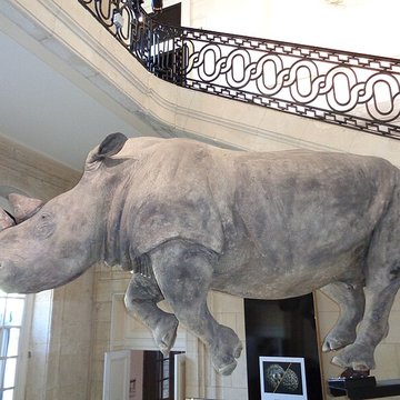 Muséum dhistoire naturelle du Havre
