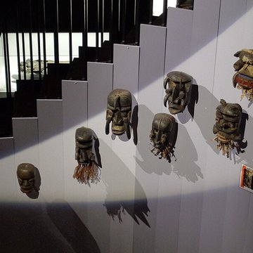 Muséum dhistoire naturelle du Havre