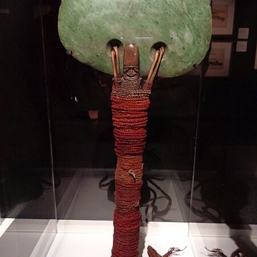 Muséum dhistoire naturelle du Havre