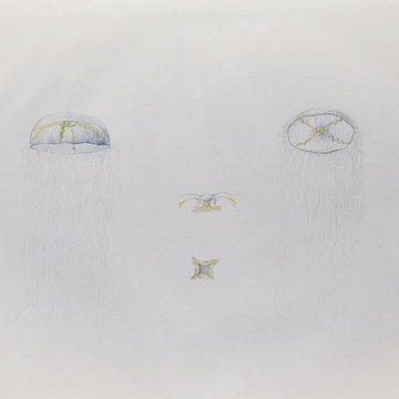 Muséum dhistoire naturelle du Havre