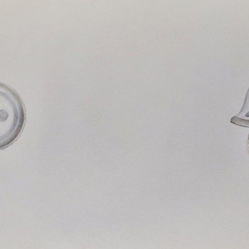 Muséum dhistoire naturelle du Havre