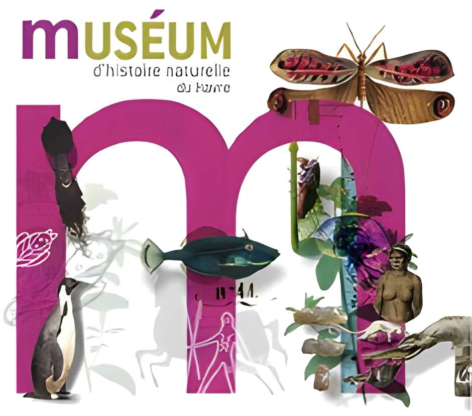 Muséum d'histoire naturelle du Havre Logo