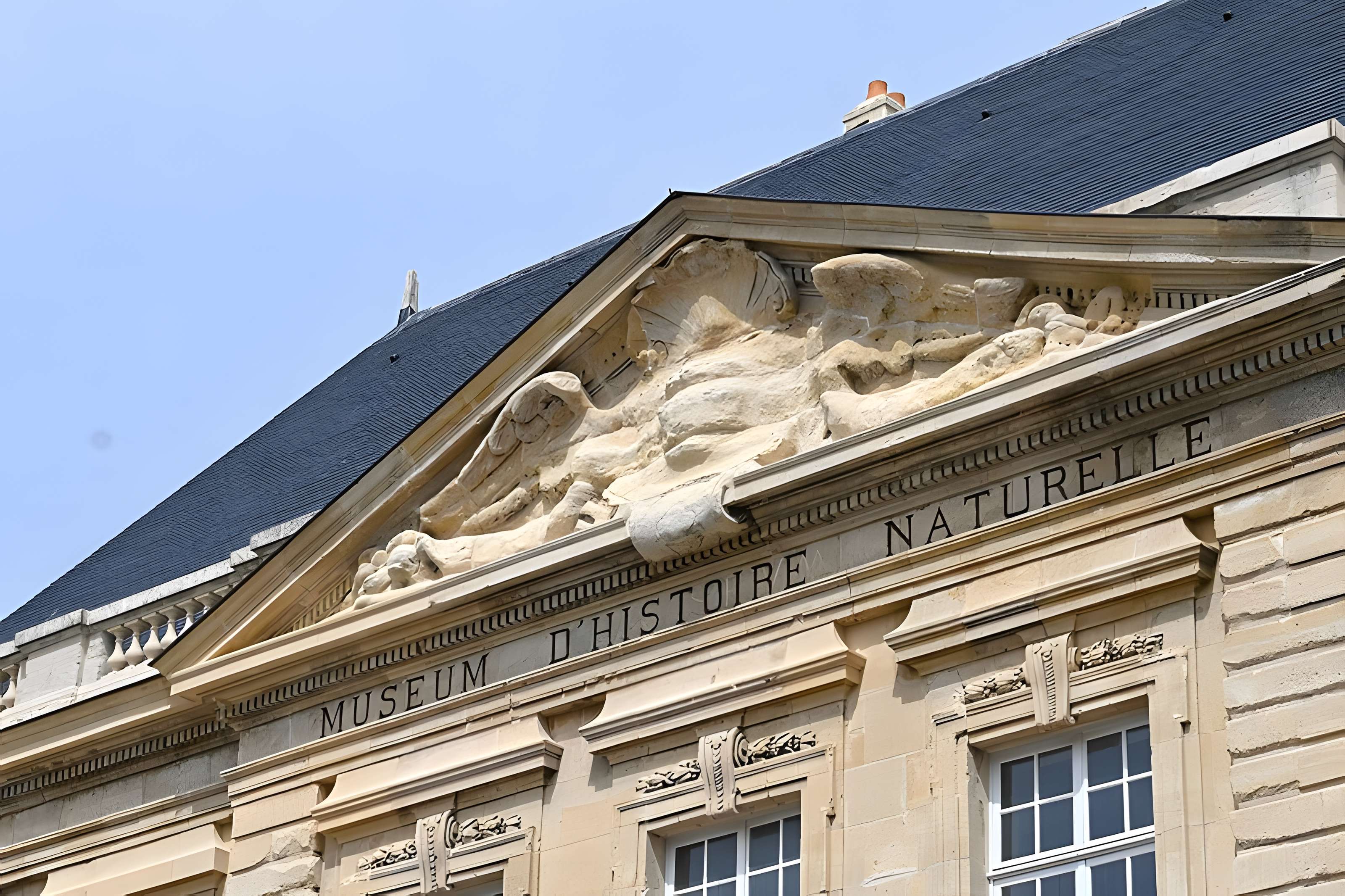 Muséum d'histoire naturelle du Havre
