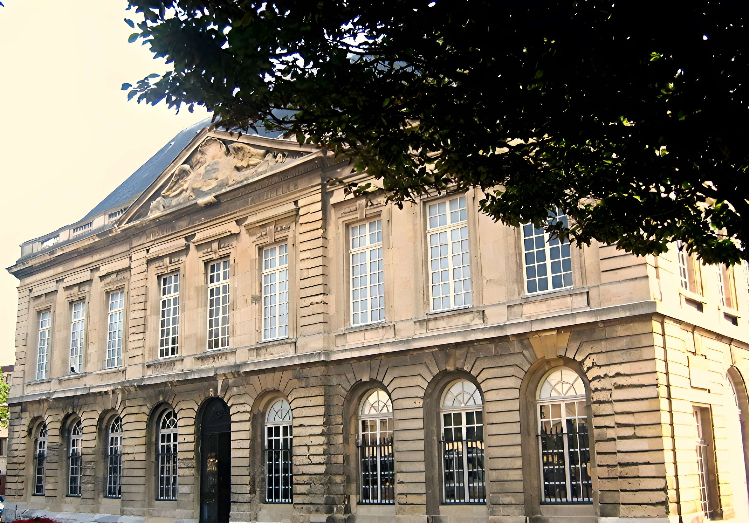 Muséum d'histoire naturelle du Havre