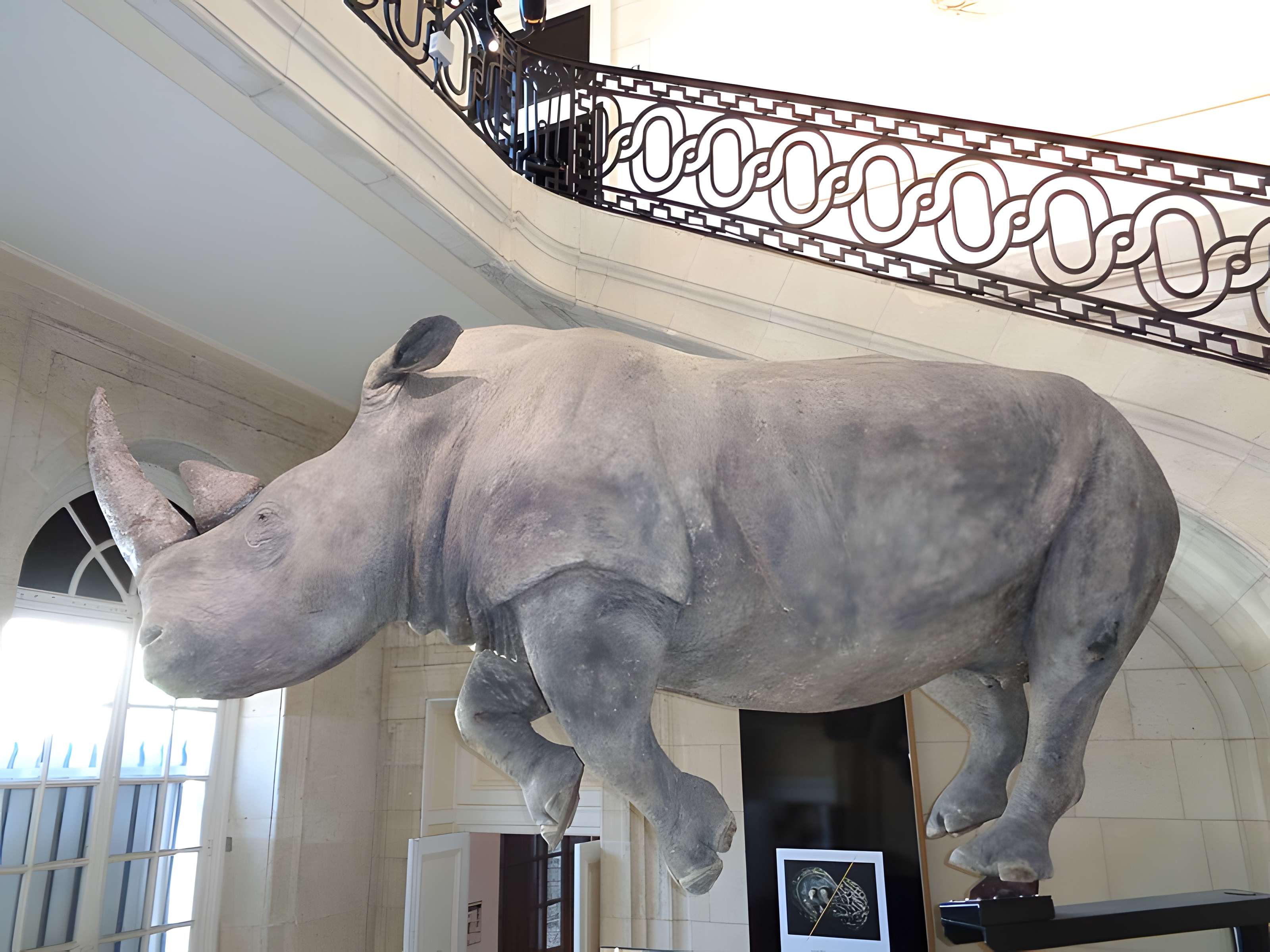 Muséum d'histoire naturelle du Havre