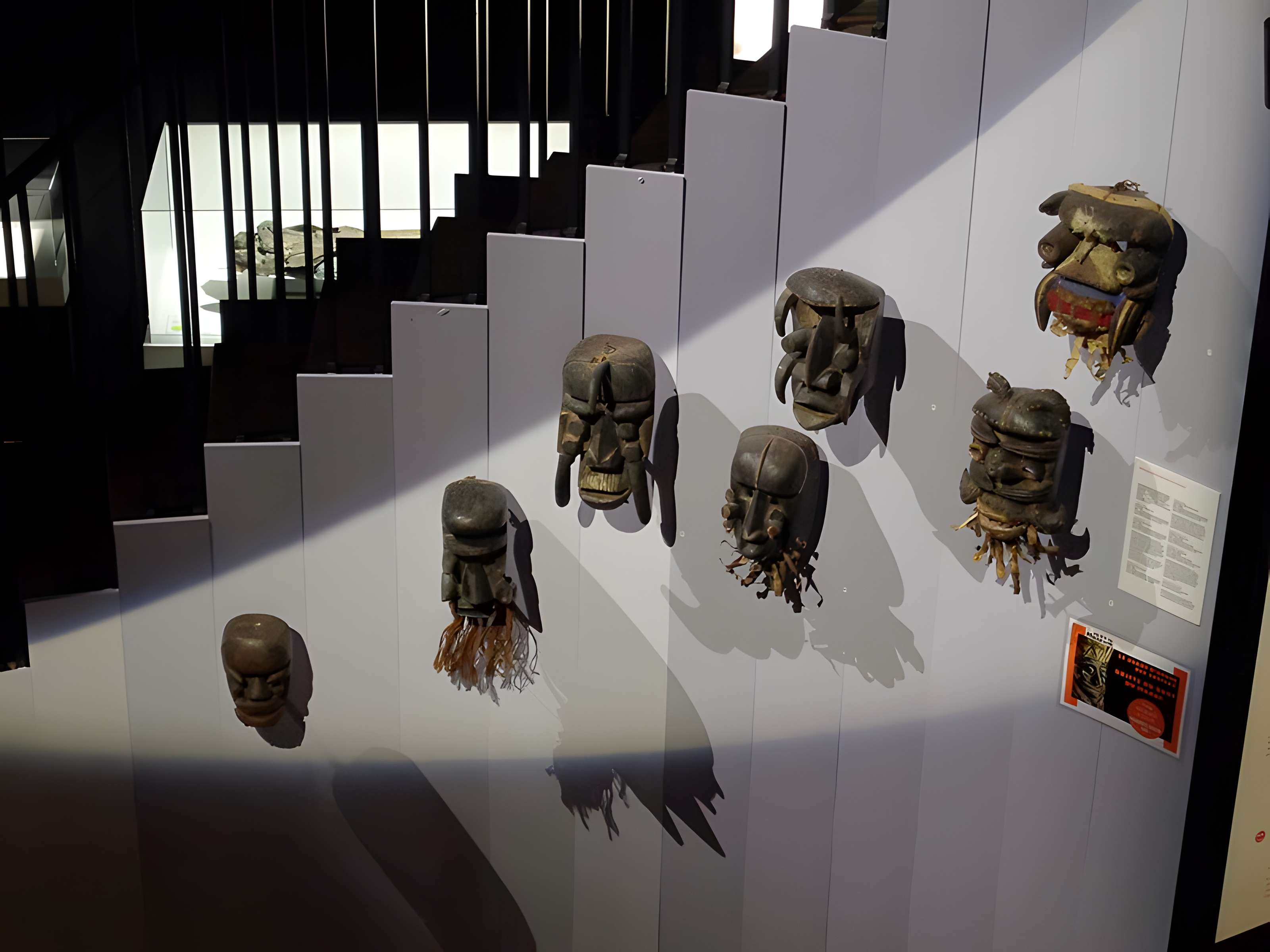 Muséum d'histoire naturelle du Havre