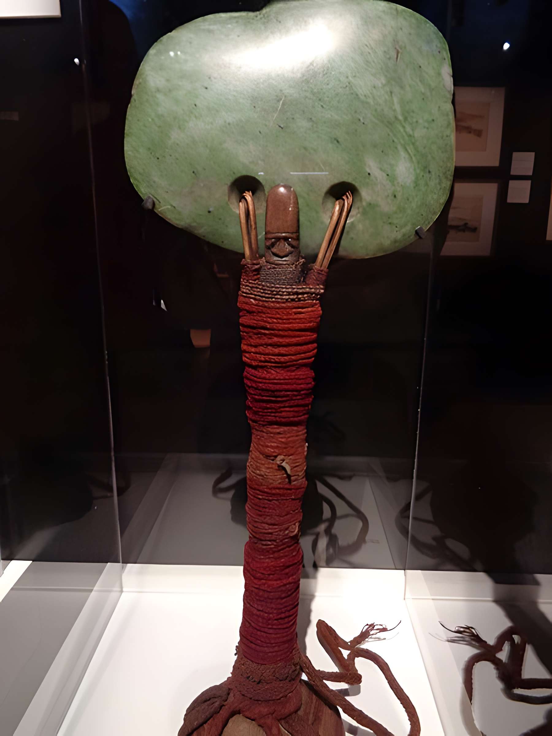 Muséum d'histoire naturelle du Havre