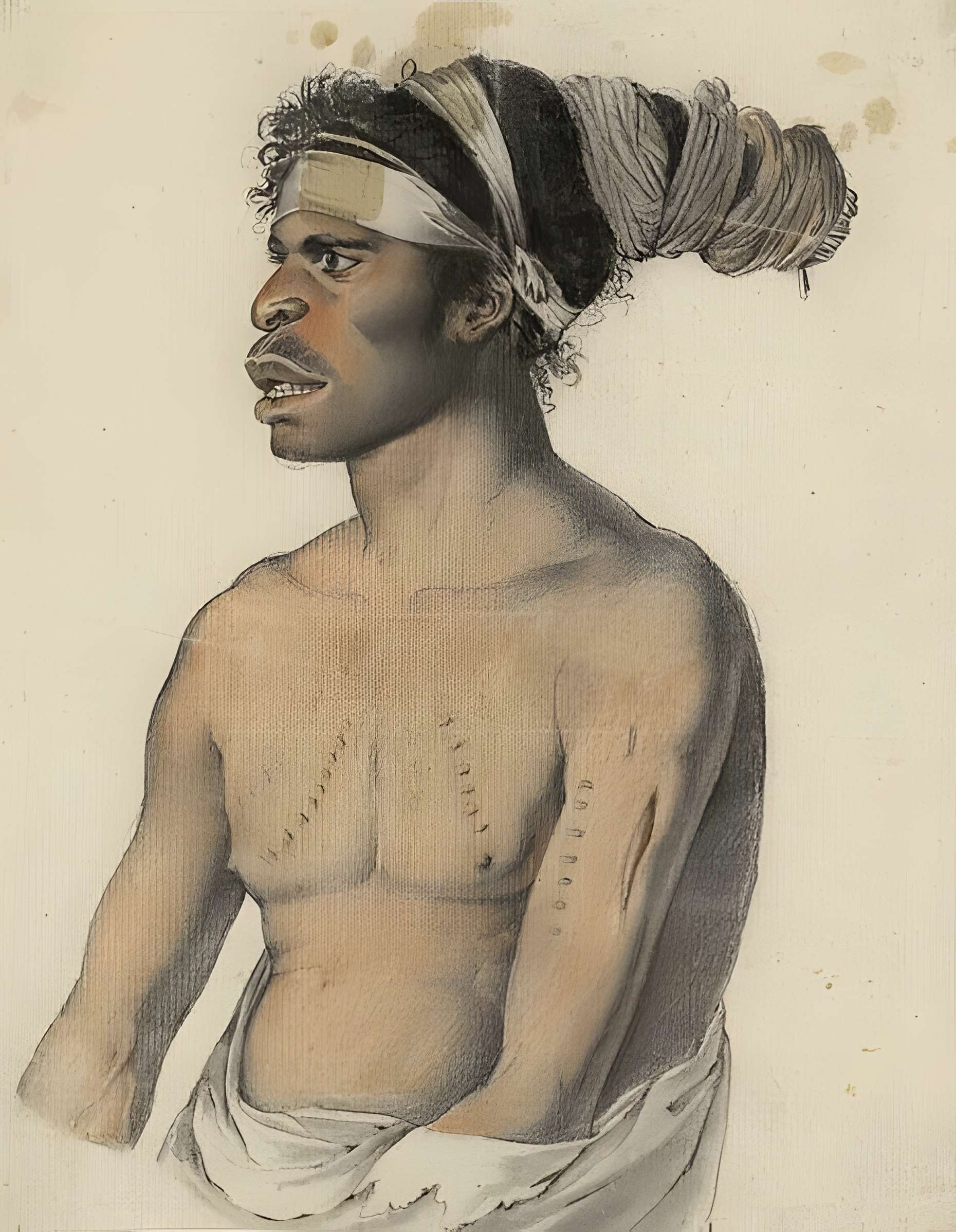 Muséum d'histoire naturelle du Havre