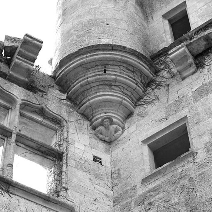 Photo de Château de Rochefort à Asnières-en-Montagne