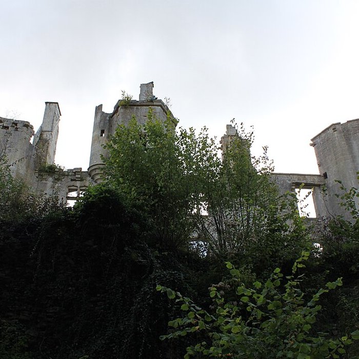 Photo de Château de Rochefort à Asnières-en-Montagne