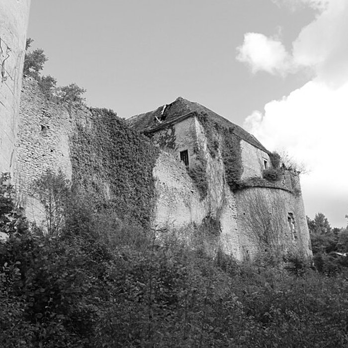 Photo de Château de Rochefort à Asnières-en-Montagne