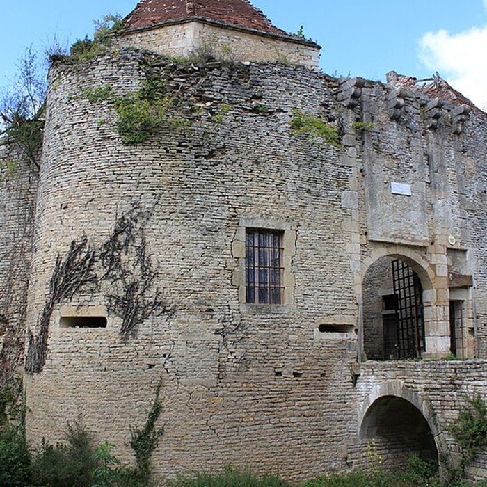 Photo de Château de Rochefort à Asnières-en-Montagne