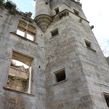 Château de Rochefort à Asnières-en-Montagne