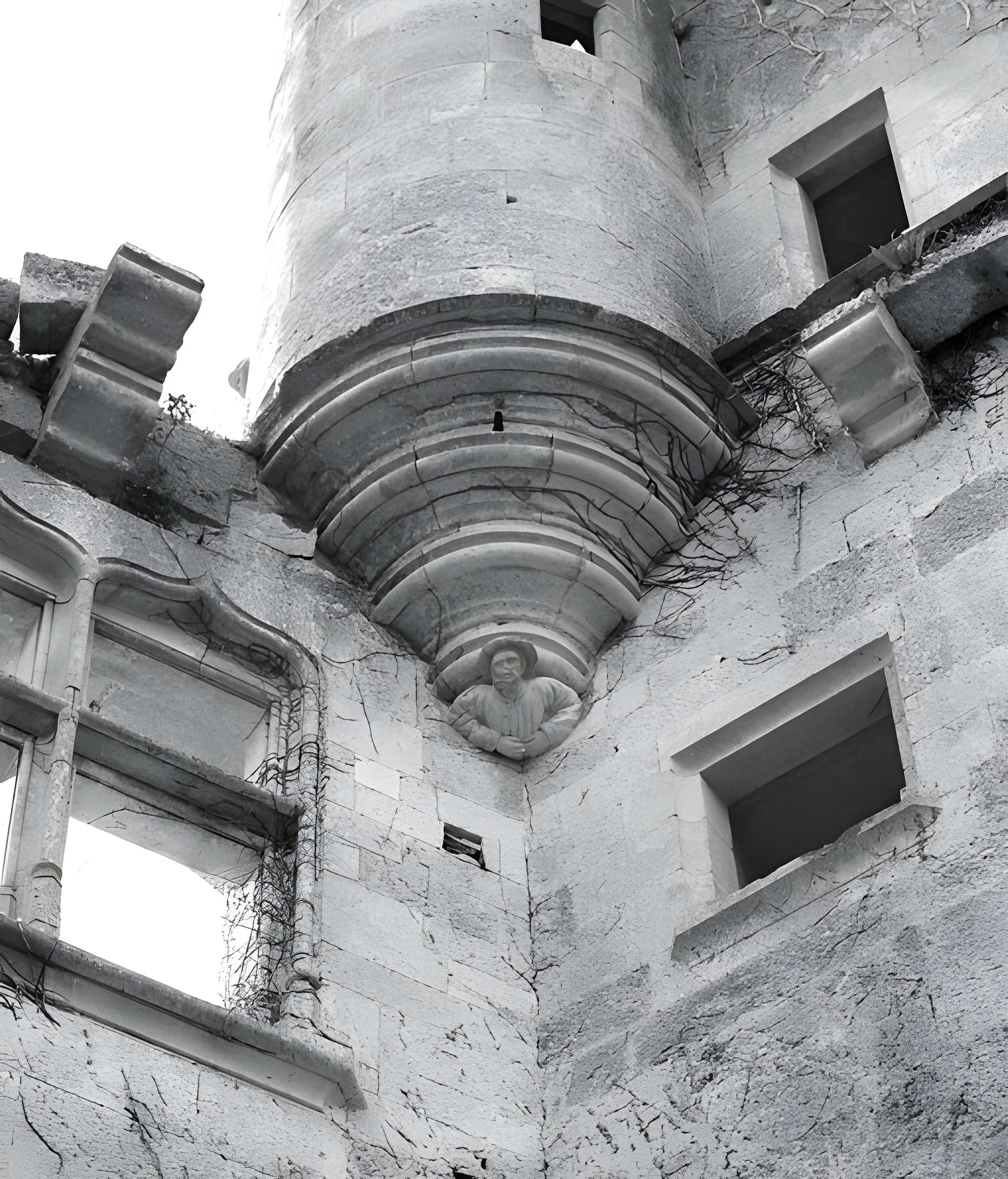 Château de Rochefort à Asnières-en-Montagne