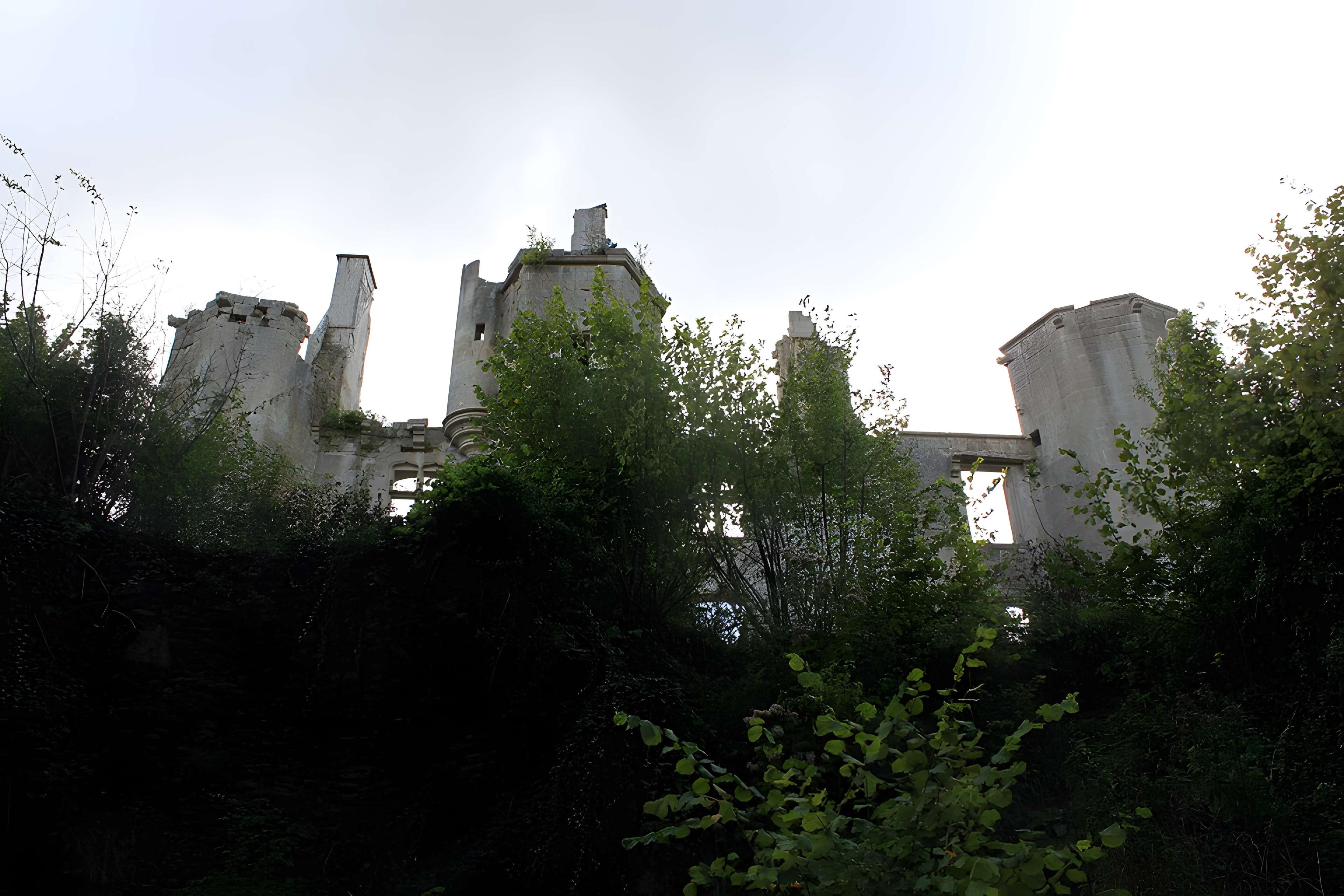 Château de Rochefort à Asnières-en-Montagne