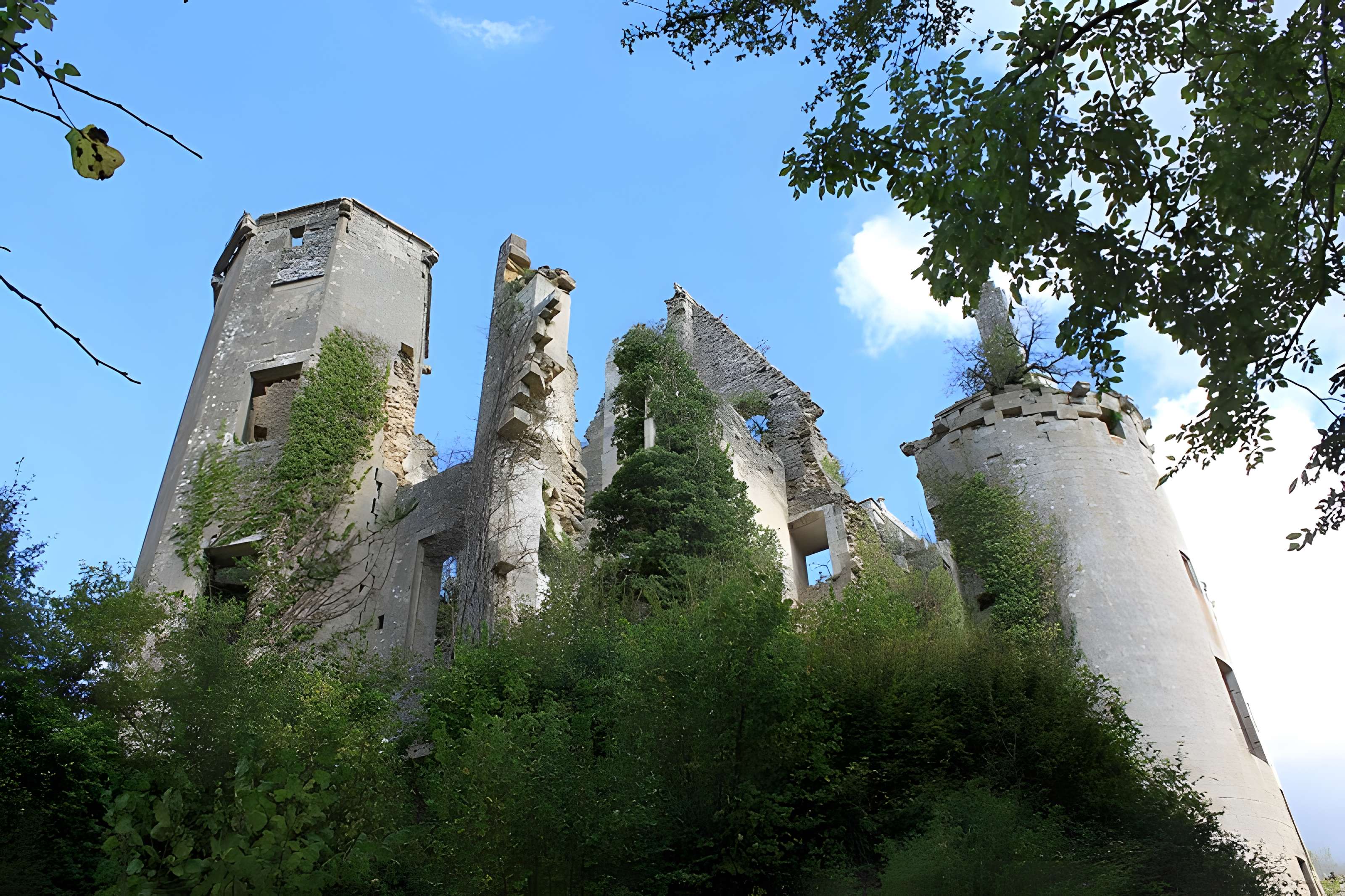 Château de Rochefort à Asnières-en-Montagne