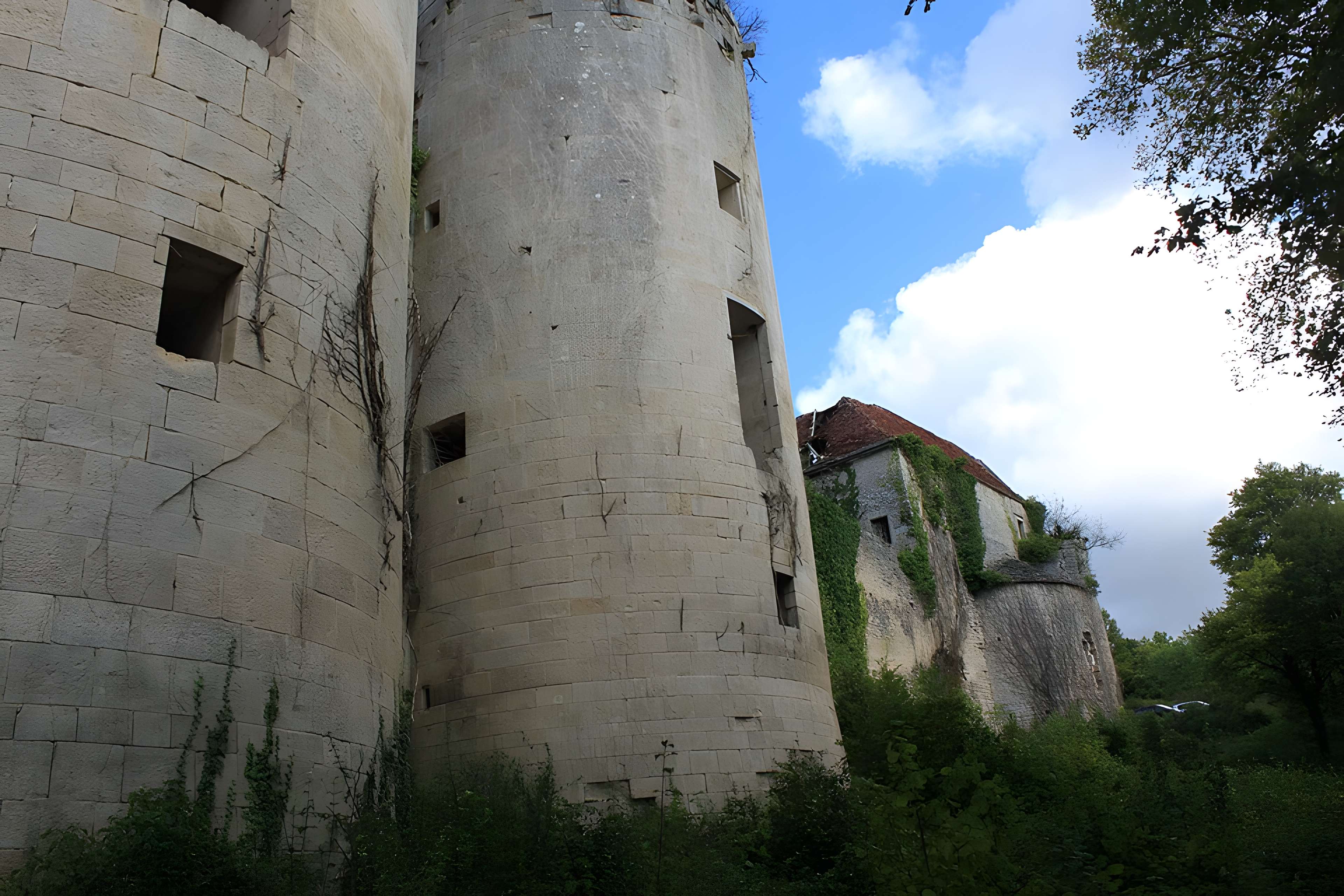Château de Rochefort à Asnières-en-Montagne