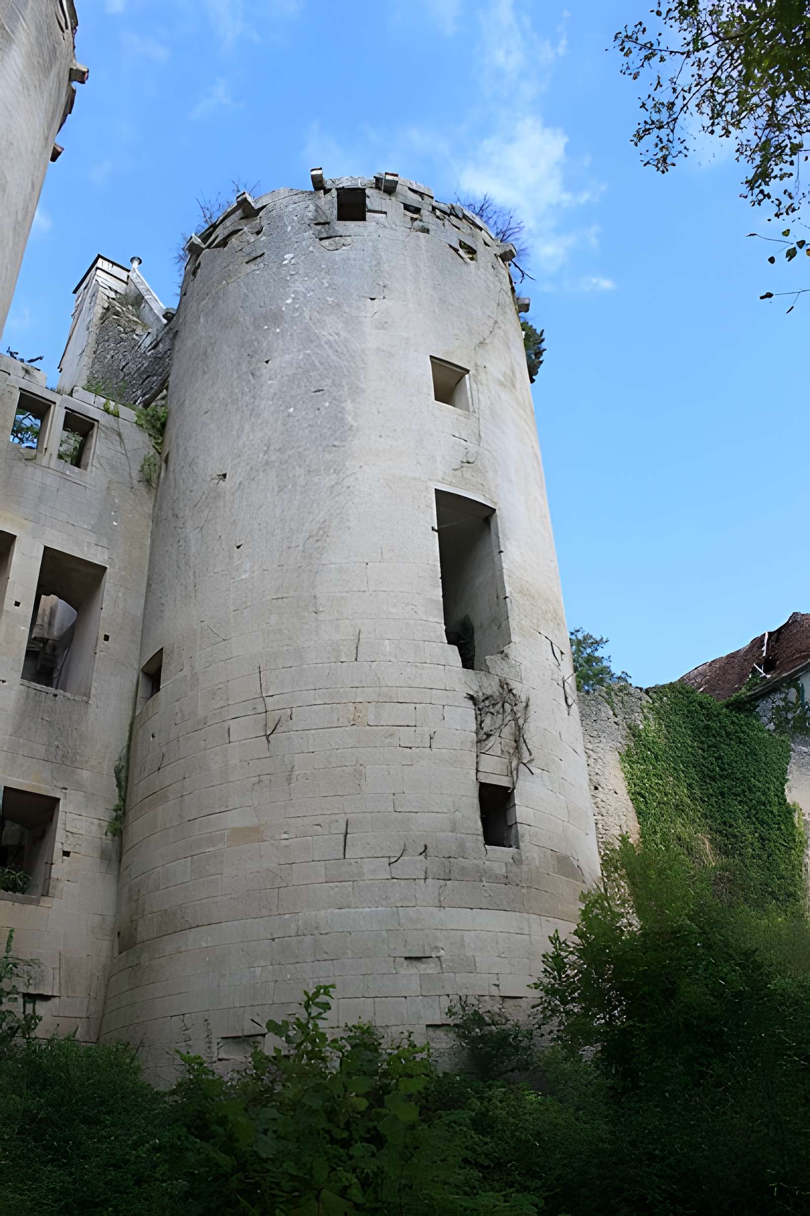 Château de Rochefort à Asnières-en-Montagne