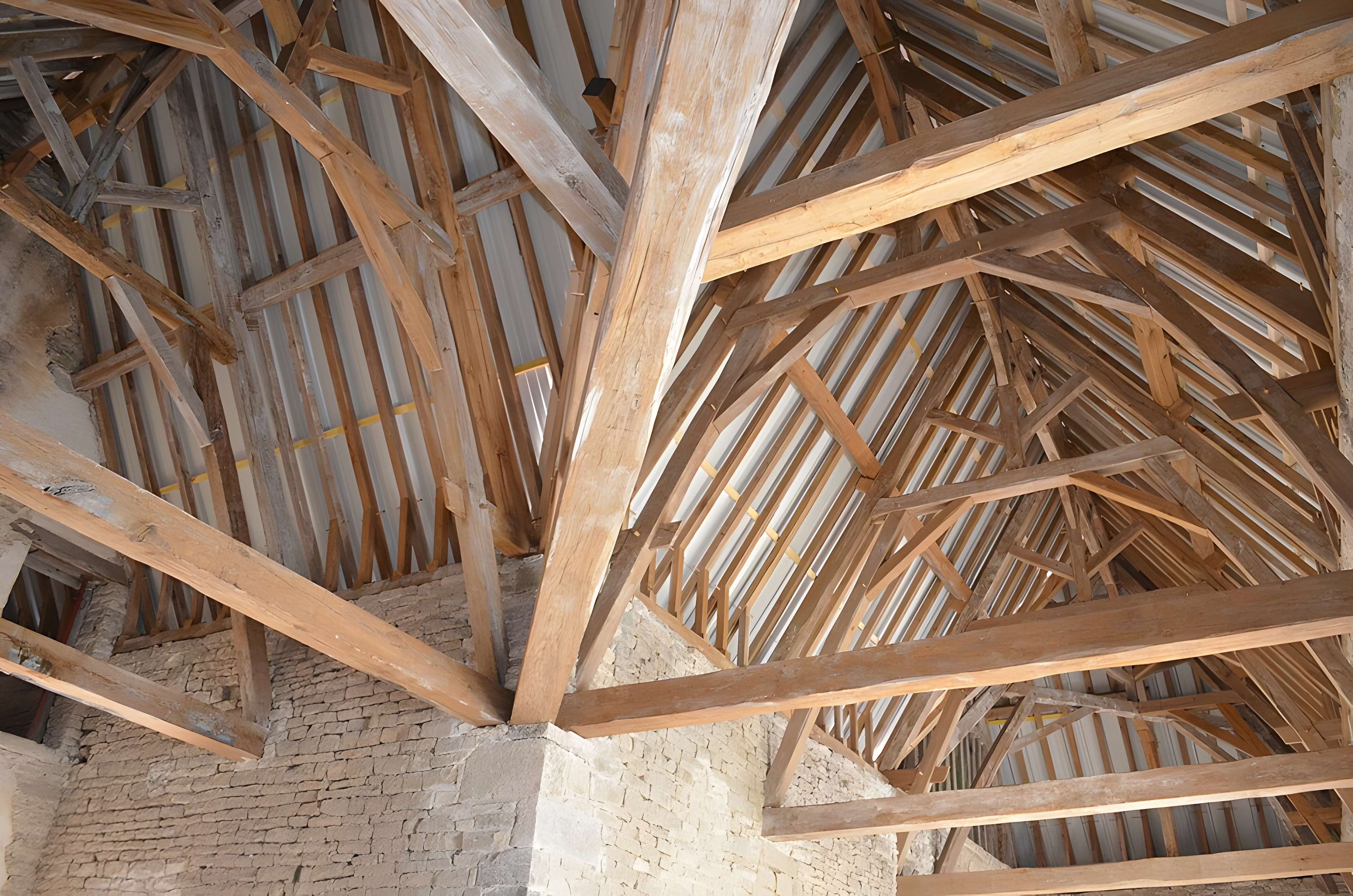 Château de Rochefort à Asnières-en-Montagne