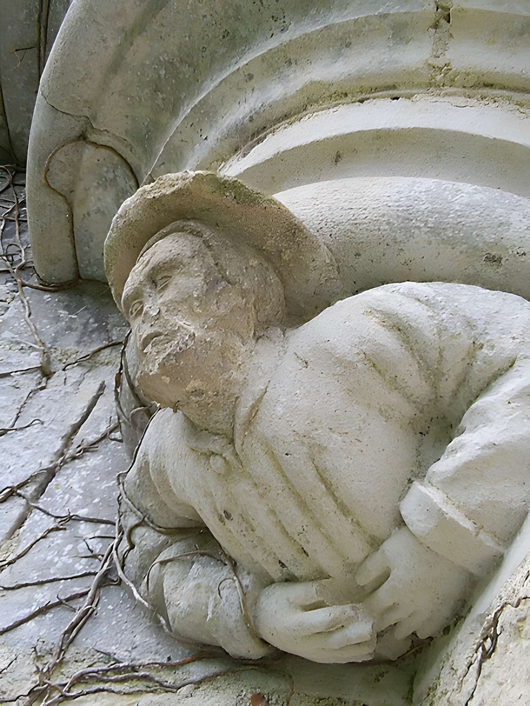 Château de Rochefort à Asnières-en-Montagne