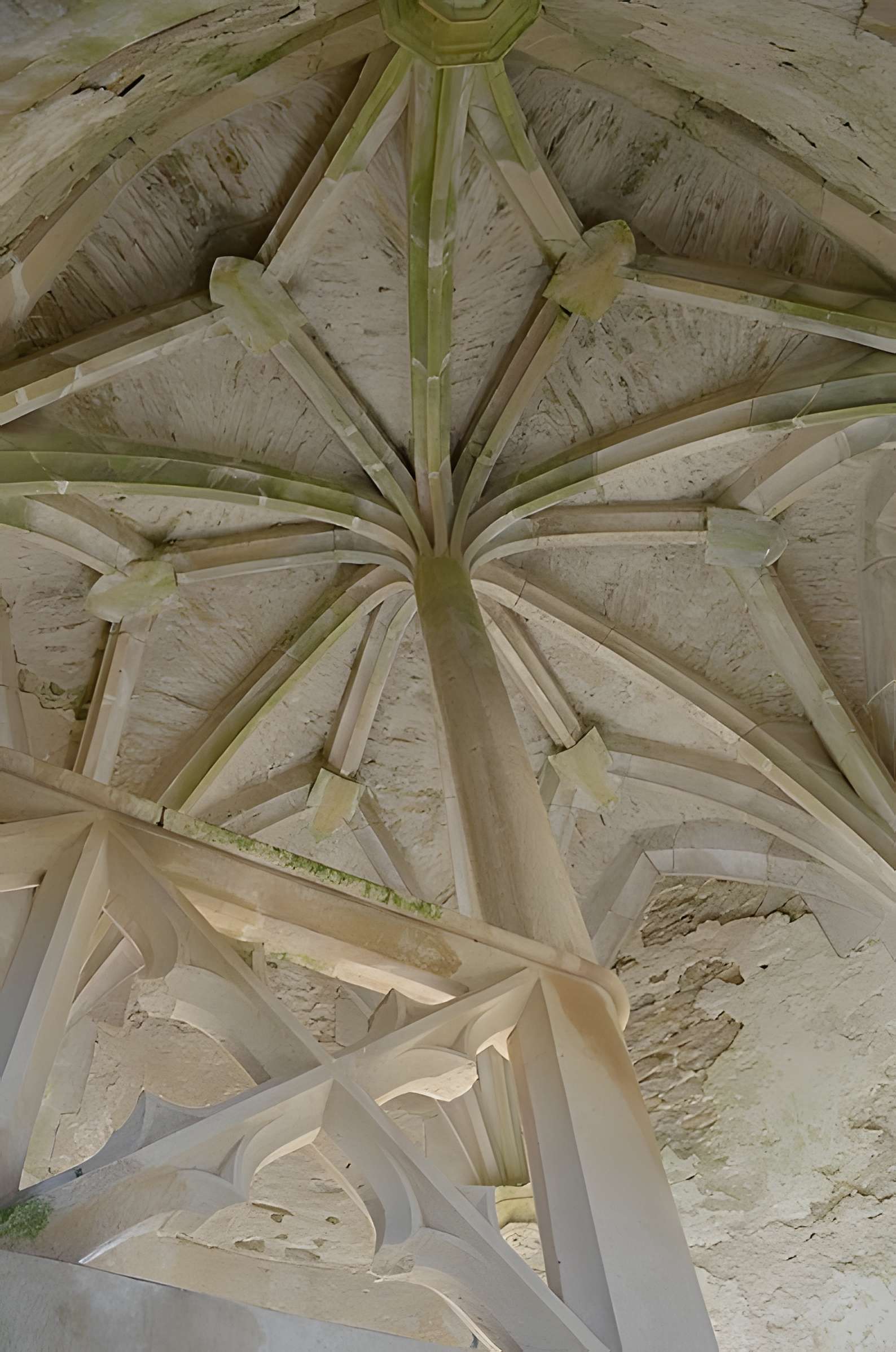 Château de Rochefort à Asnières-en-Montagne