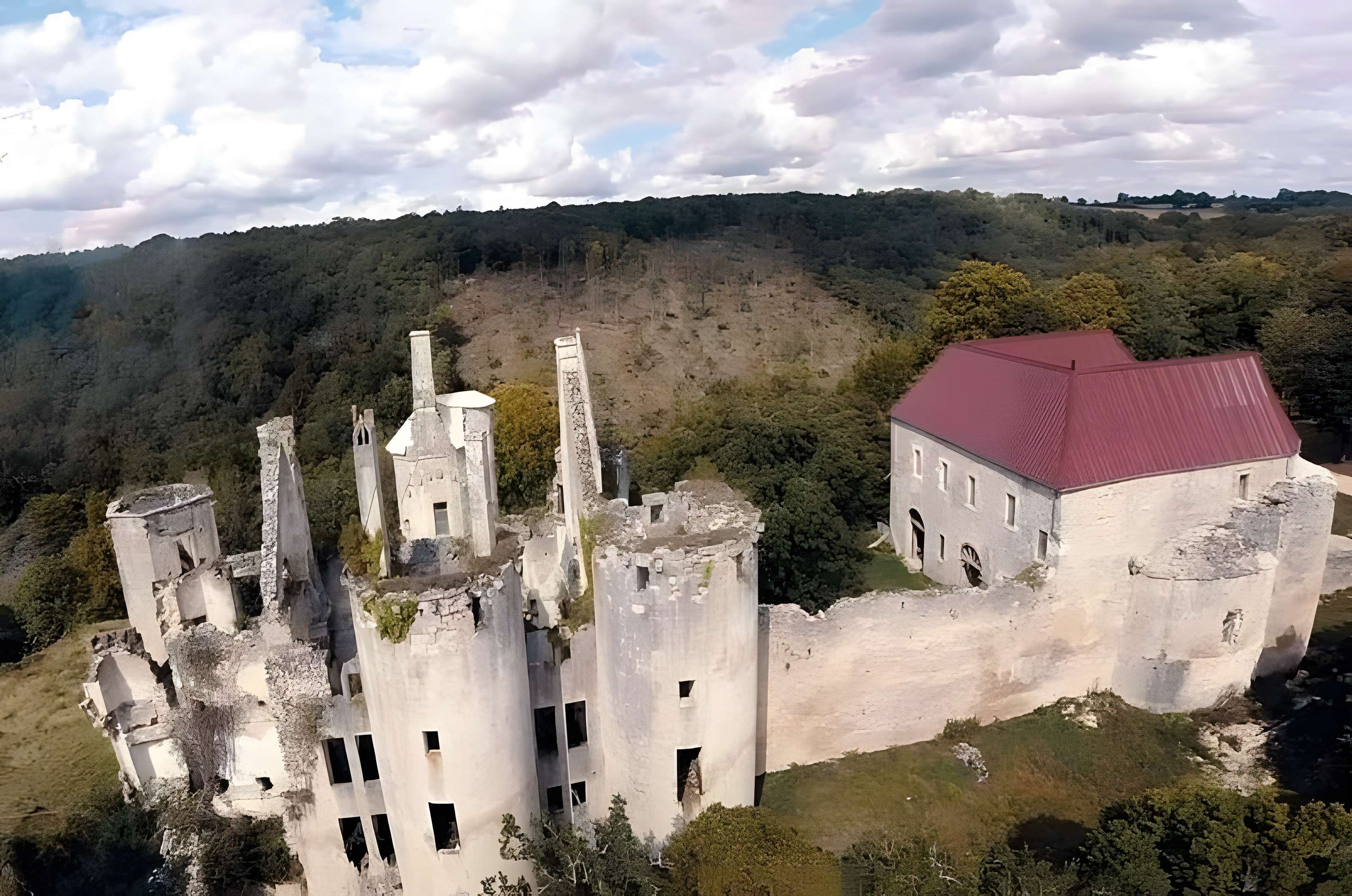 Château de Rochefort à Asnières-en-Montagne