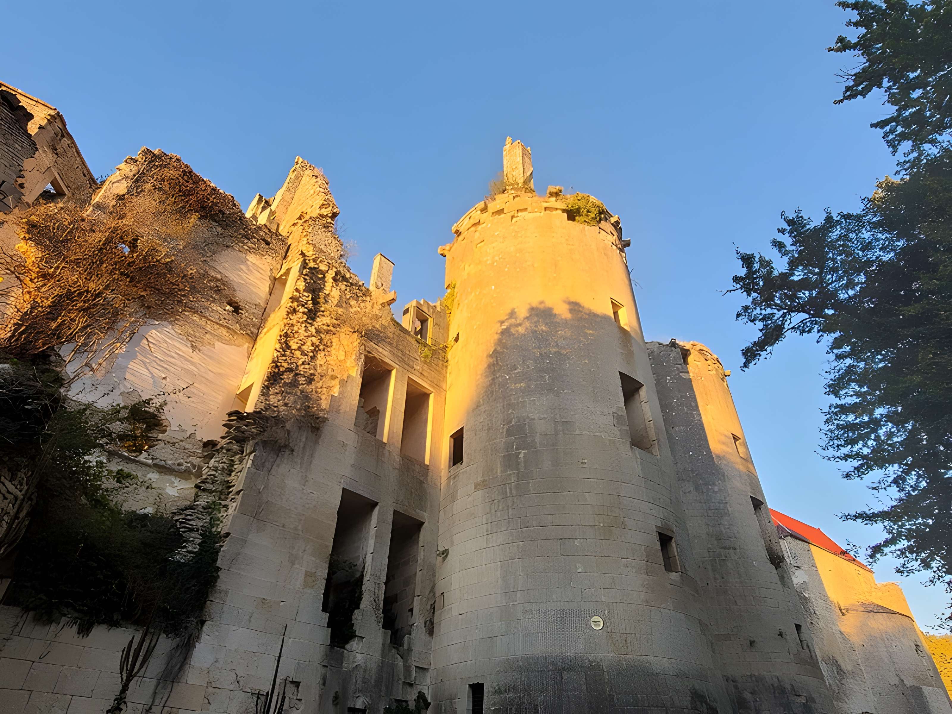 Château de Rochefort à Asnières-en-Montagne
