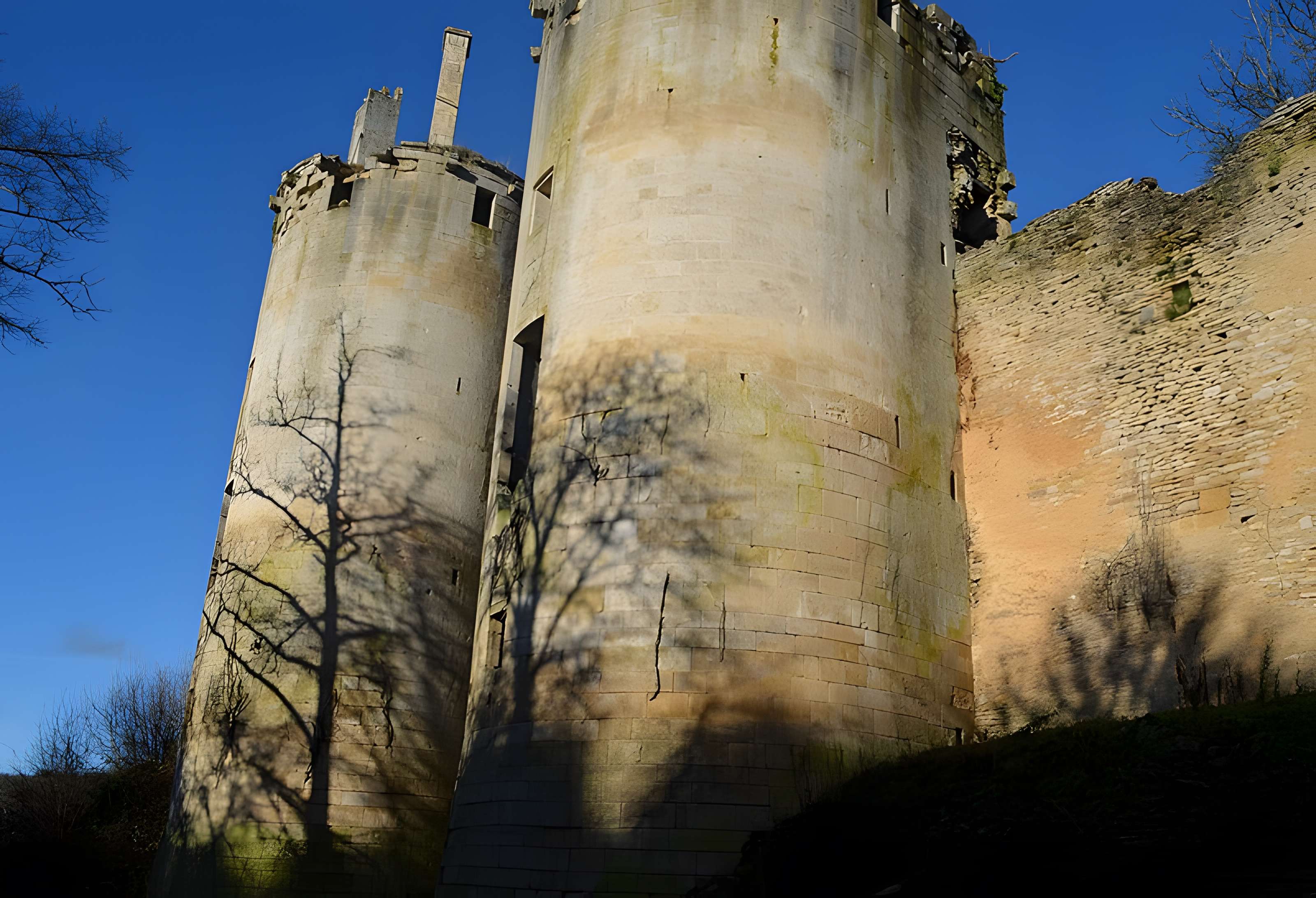 Château de Rochefort à Asnières-en-Montagne