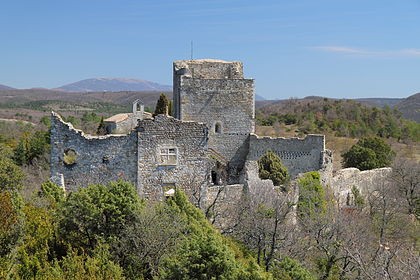 Photo de Château de Rochefort-en-Valdaine