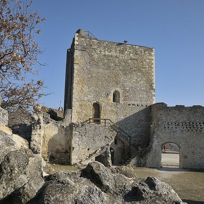 Photo de Château de Rochefort-en-Valdaine