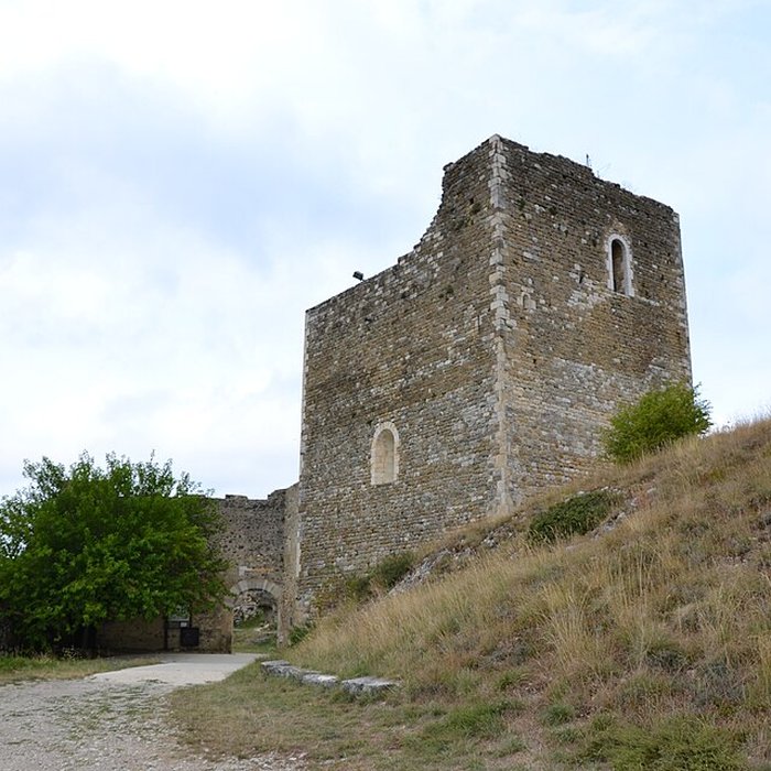 Photo de Château de Rochefort-en-Valdaine