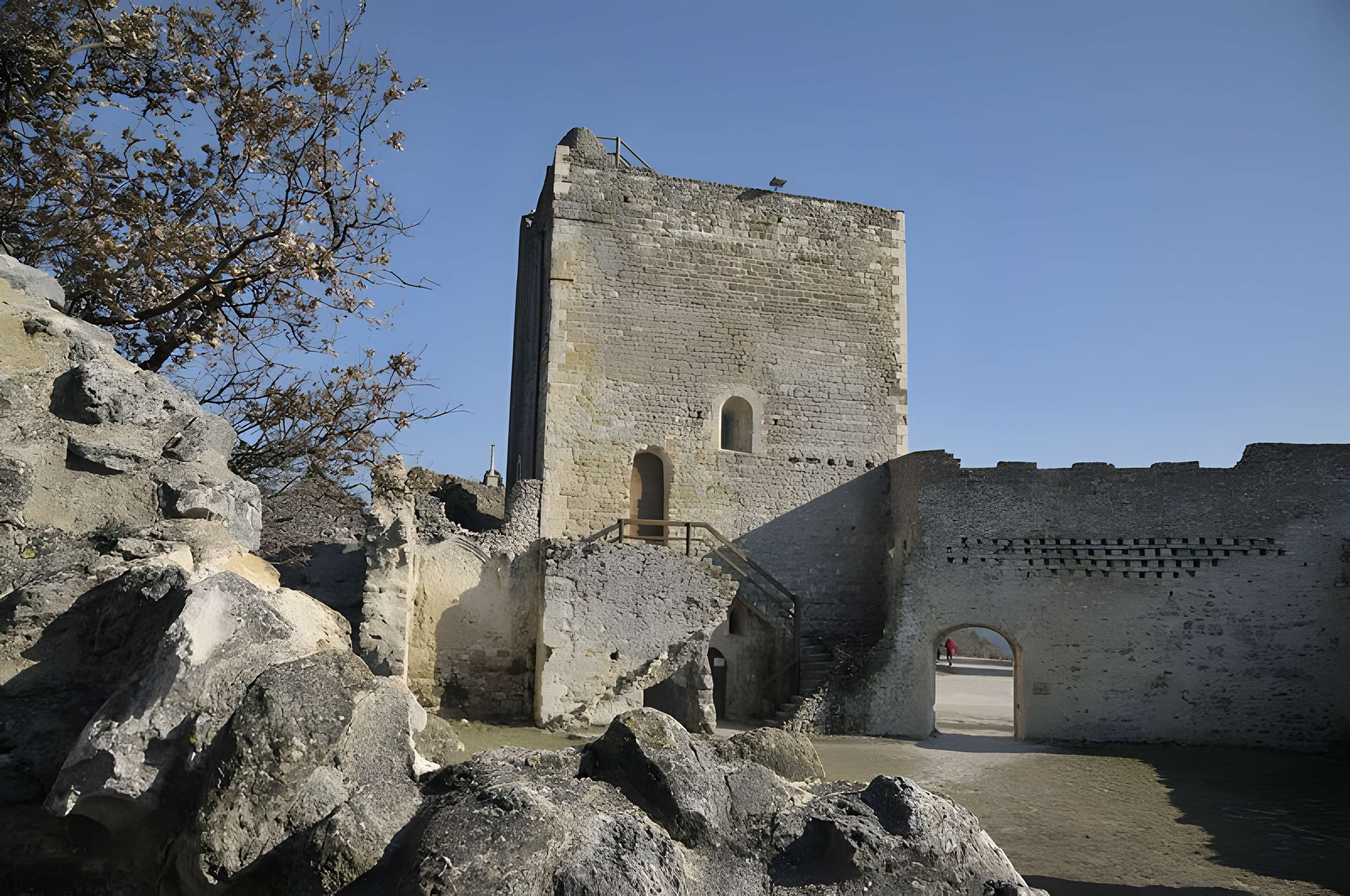 Château de Rochefort-en-Valdaine