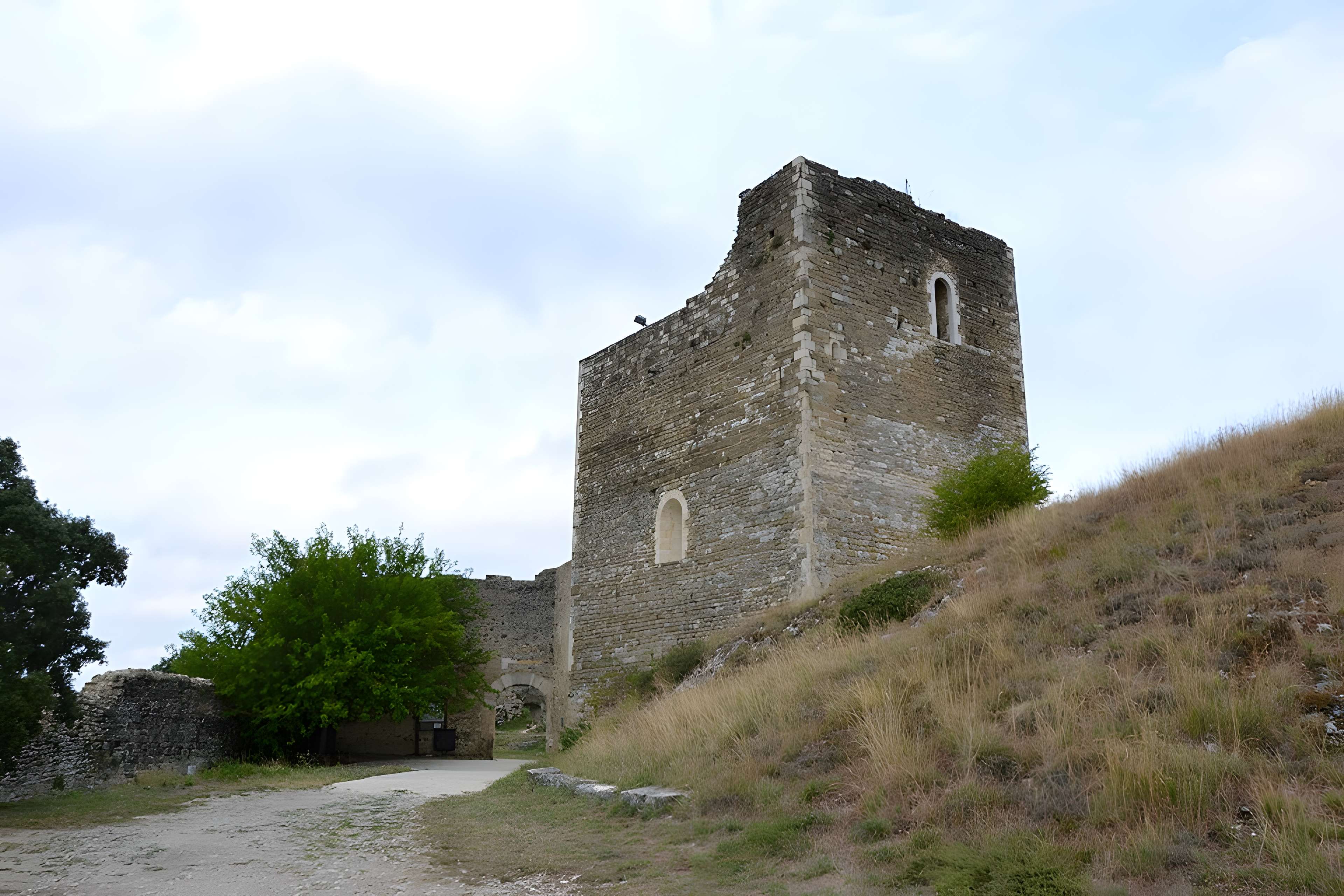 Château de Rochefort-en-Valdaine