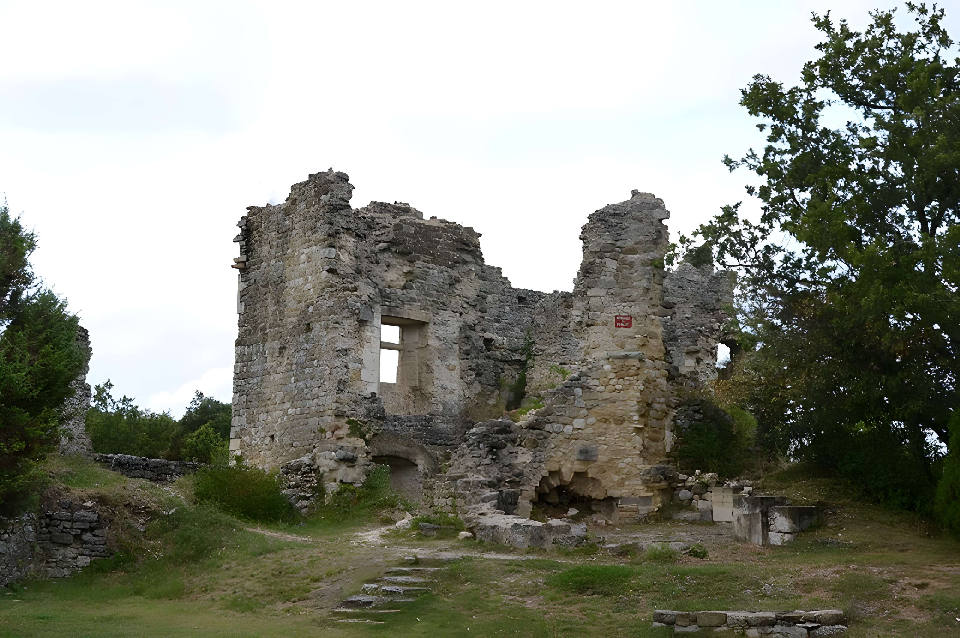 Château de Rochefort-en-Valdaine