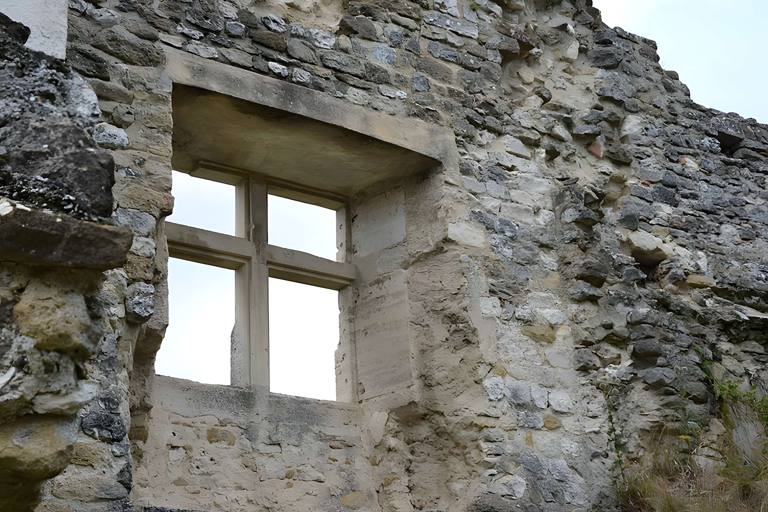 Château de Rochefort-en-Valdaine