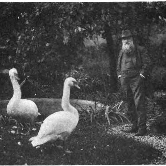Photo de Musée-atelier Rodin à Meudon
