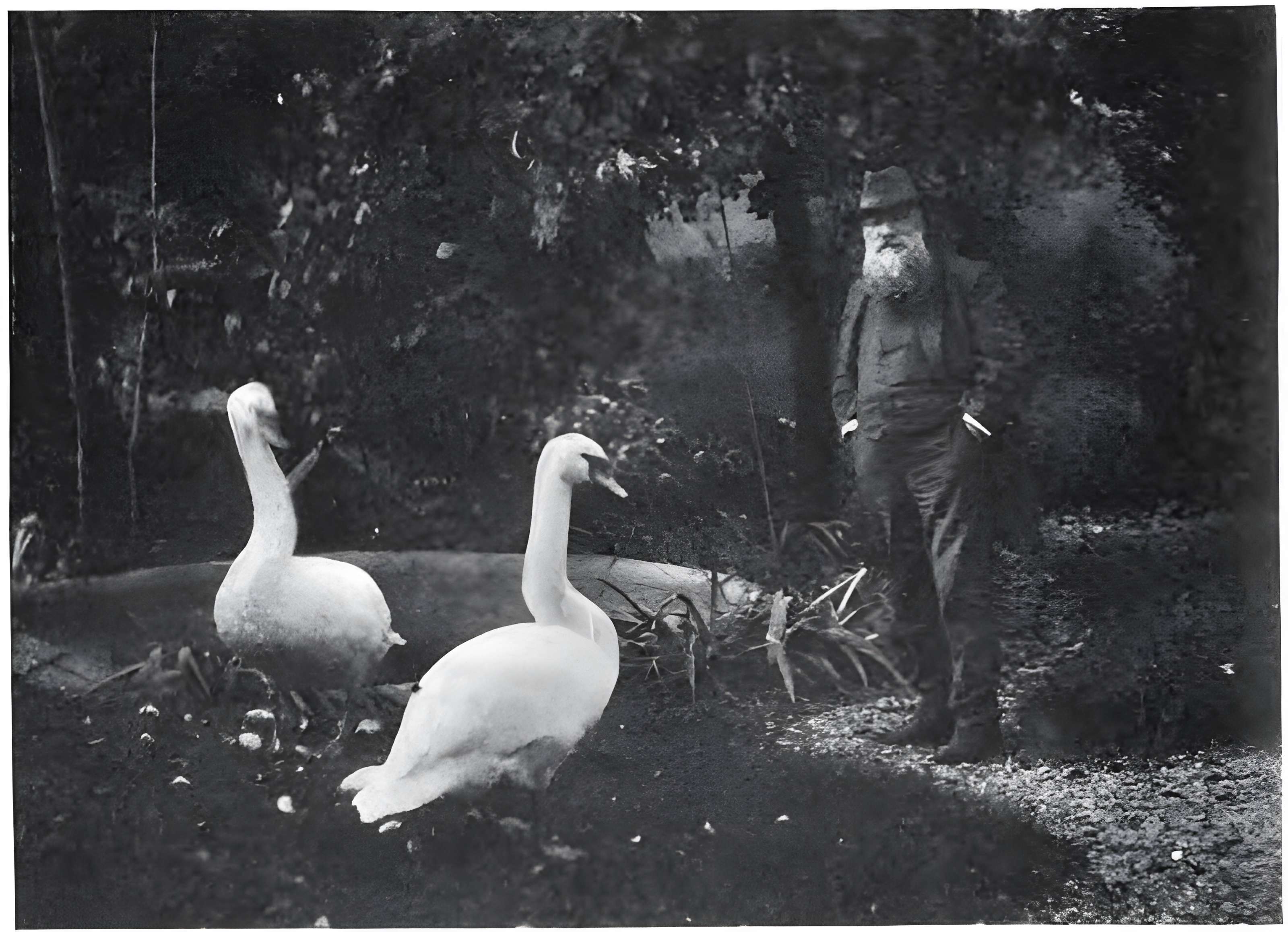 Musée-atelier Rodin à Meudon