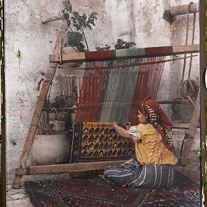 Photo de Musée et Jardins Albert-Kahn à Boulogne-Billancourt