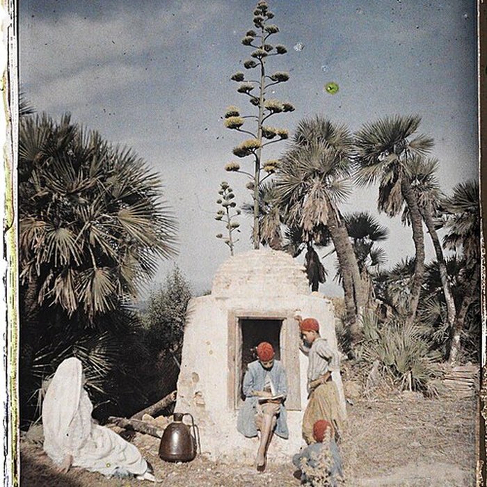 Photo de Musée et Jardins Albert-Kahn à Boulogne-Billancourt