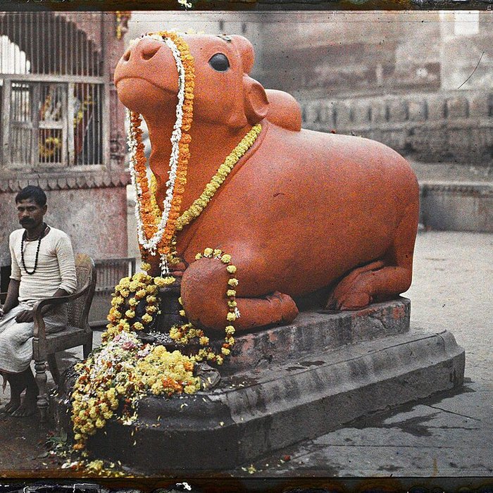 Photo de Musée et Jardins Albert-Kahn à Boulogne-Billancourt