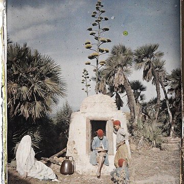 Musée et Jardins Albert-Kahn à Boulogne-Billancourt