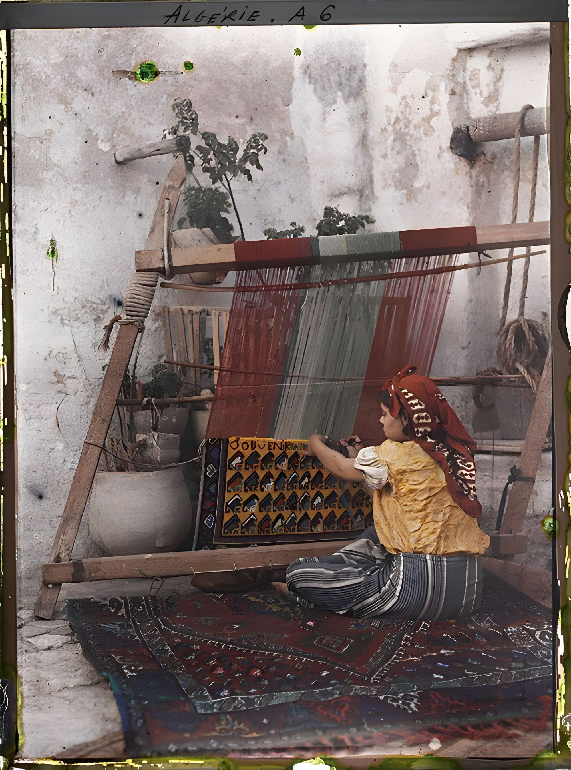 Musée et Jardins Albert-Kahn à Boulogne-Billancourt