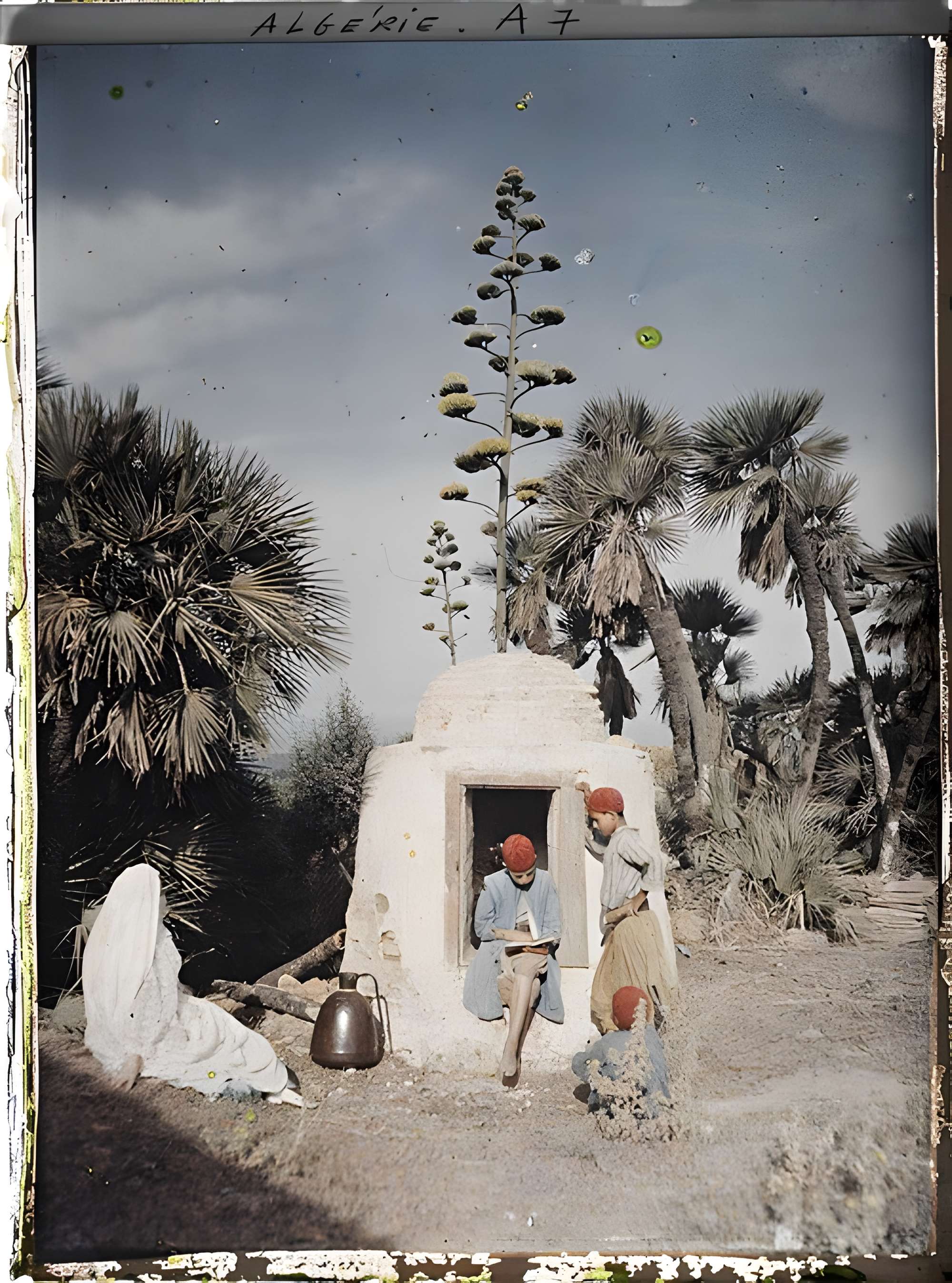 Musée et Jardins Albert-Kahn à Boulogne-Billancourt