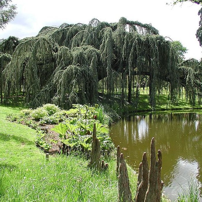 Photo de Maison de Chateaubriand à Châtenay-Malabry