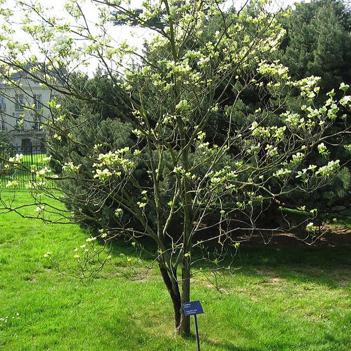 Photo de Maison de Chateaubriand à Châtenay-Malabry