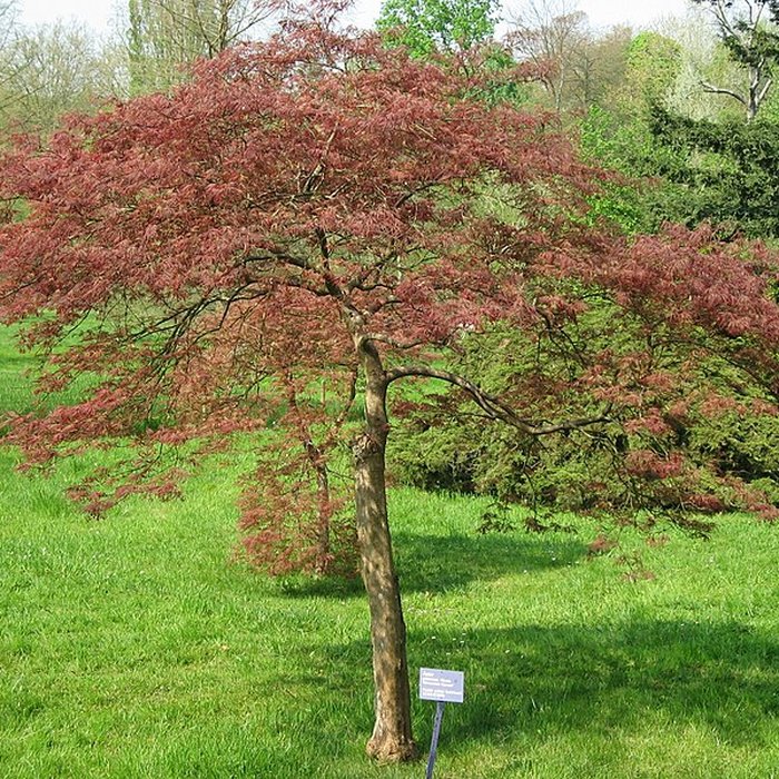 Photo de Maison de Chateaubriand à Châtenay-Malabry