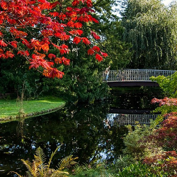 Photo de Maison de Chateaubriand à Châtenay-Malabry