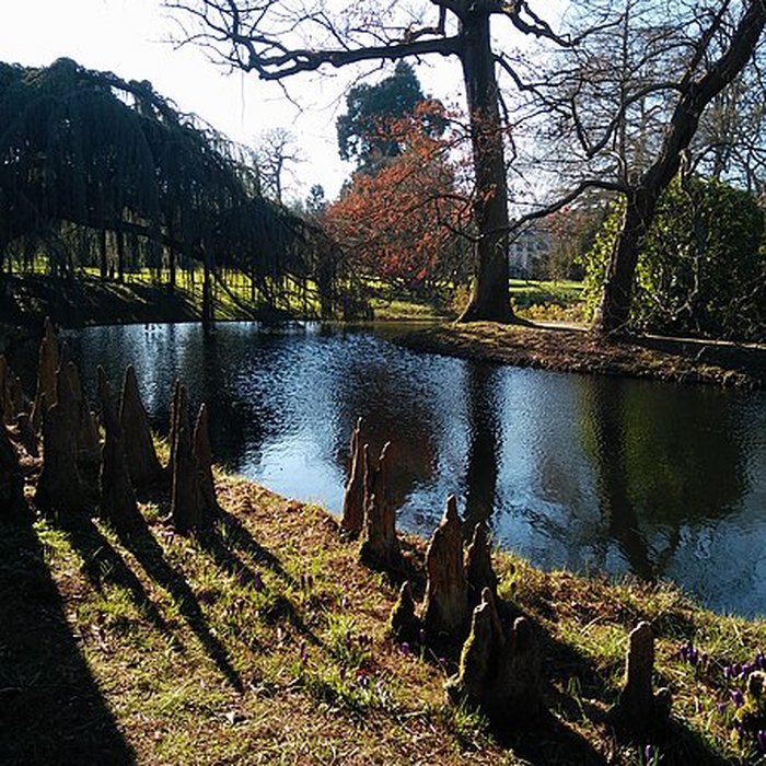 Photo de Maison de Chateaubriand à Châtenay-Malabry
